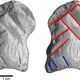 Greyscale images made from micro-CT scans of the relic. A total of 10 etchings were found on the bone, six of which (shown in red) were used to create the chevron pattern.